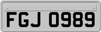 FGJ0989
