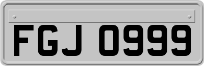 FGJ0999