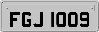 FGJ1009