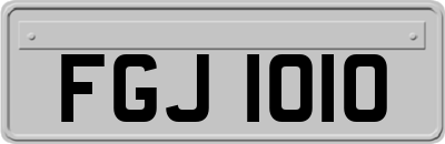 FGJ1010