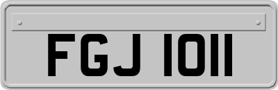 FGJ1011