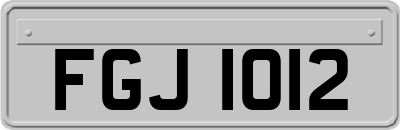 FGJ1012