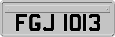 FGJ1013