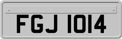 FGJ1014