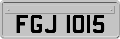 FGJ1015