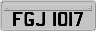 FGJ1017