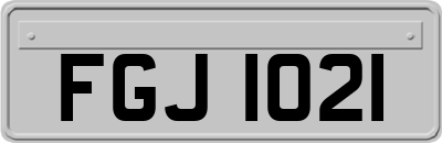 FGJ1021