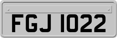 FGJ1022