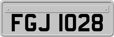FGJ1028