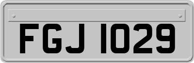 FGJ1029