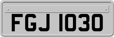 FGJ1030