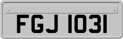 FGJ1031