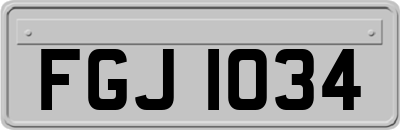 FGJ1034