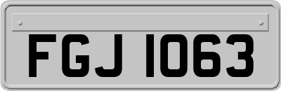 FGJ1063