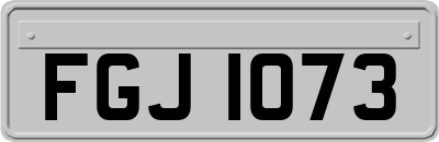 FGJ1073