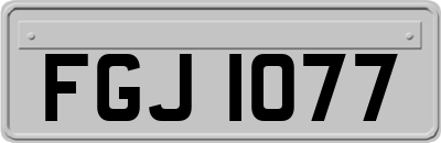 FGJ1077