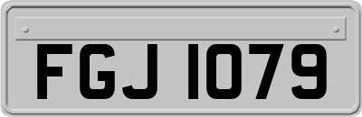 FGJ1079
