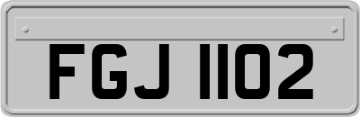 FGJ1102