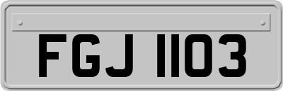 FGJ1103