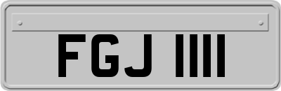 FGJ1111