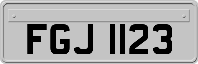 FGJ1123