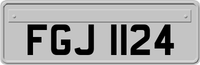 FGJ1124