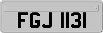 FGJ1131