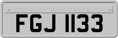 FGJ1133