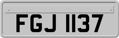 FGJ1137