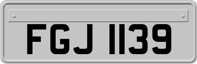 FGJ1139
