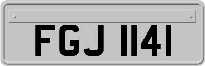 FGJ1141