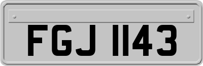 FGJ1143