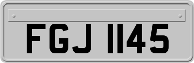 FGJ1145