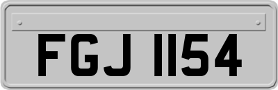FGJ1154