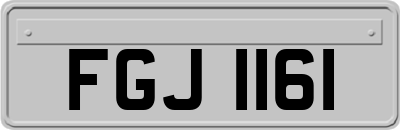FGJ1161