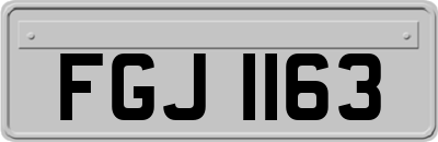 FGJ1163