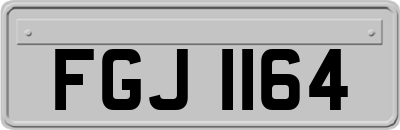 FGJ1164