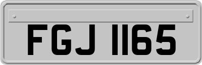 FGJ1165