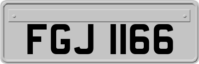 FGJ1166