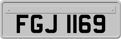 FGJ1169
