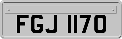 FGJ1170
