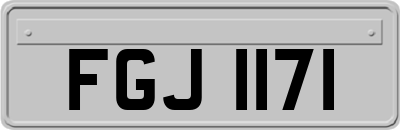 FGJ1171