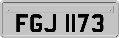 FGJ1173