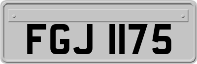 FGJ1175