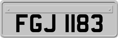 FGJ1183