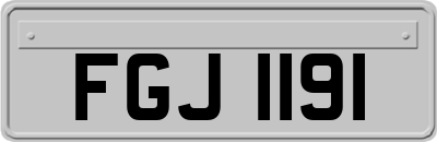 FGJ1191