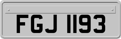 FGJ1193