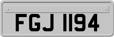 FGJ1194