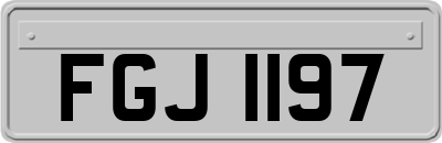 FGJ1197