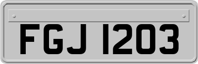 FGJ1203